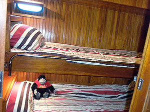 Mahi Mahi bunkbeds